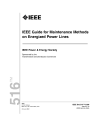 IEEE 516:2009